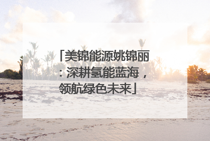 美锦能源姚锦丽：深耕氢能蓝海，领航绿色未来