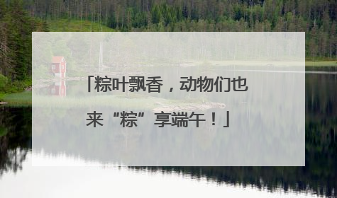 粽叶飘香，动物们也来“粽”享端午！