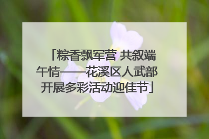 粽香飘军营 共叙端午情——花溪区人武部开展多彩活动迎佳节