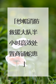 纱帽消防救援大队半小时高效处置商铺蛇患