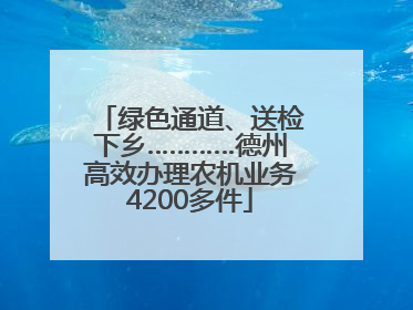 绿色通道、送检下乡…………德州高效办理农机业务4200多件