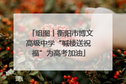 组图丨衡阳市博文高级中学“喊楼送祝福”为高考加油