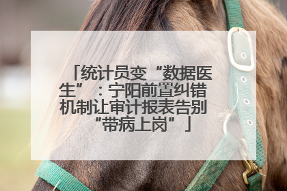统计员变“数据医生”：宁阳前置纠错机制让审计报表告别“带病上岗”