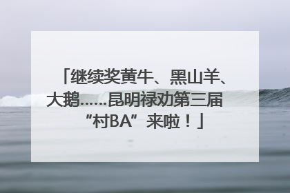继续奖黄牛、黑山羊、大鹅……昆明禄劝第三届“村BA”来啦！