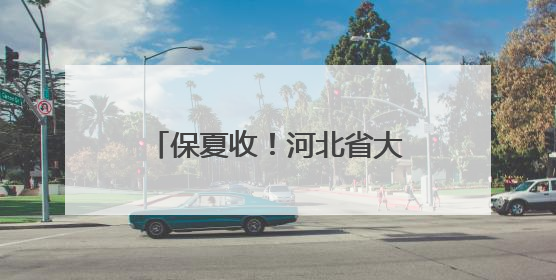 保夏收！河北省大中型灌区春灌农田707.4万亩