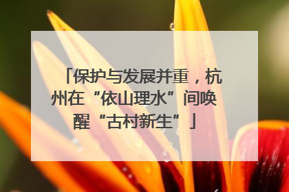 保护与发展并重，杭州在“依山理水”间唤醒“古村新生”