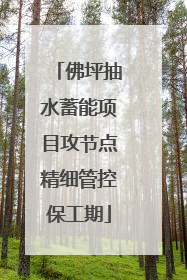 佛坪抽水蓄能项目攻节点精细管控保工期