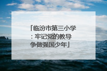 临汾市第三小学：牢记党的教导 争做强国少年