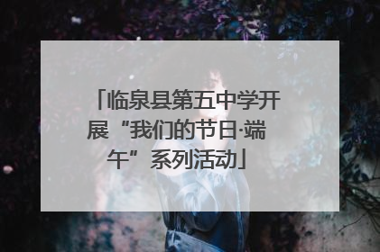 临泉县第五中学开展“我们的节日·端午”系列活动