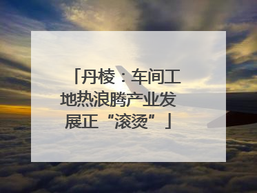 丹棱：车间工地热浪腾产业发展正“滚烫”