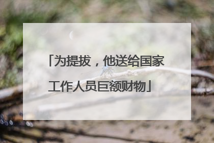 为提拔，他送给国家工作人员巨额财物