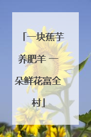 一块蕉芋养肥羊 一朵鲜花富全村