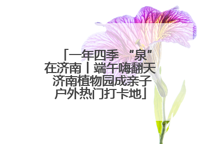 一年四季 “泉”在济南丨端午嗨翻天 济南植物园成亲子户外热门打卡地