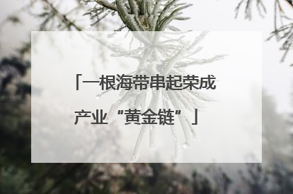 一根海带串起荣成产业“黄金链”