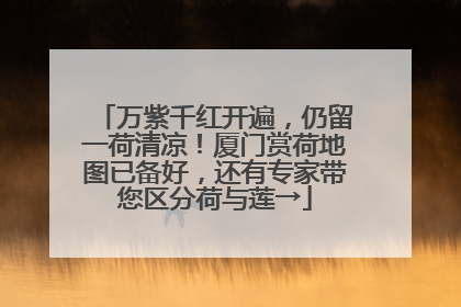 万紫千红开遍，仍留一荷清凉！厦门赏荷地图已备好，还有专家带您区分荷与莲→
