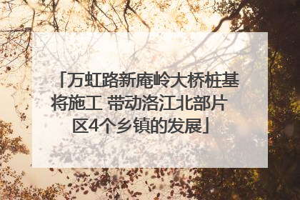 万虹路新庵岭大桥桩基将施工 带动洛江北部片区4个乡镇的发展