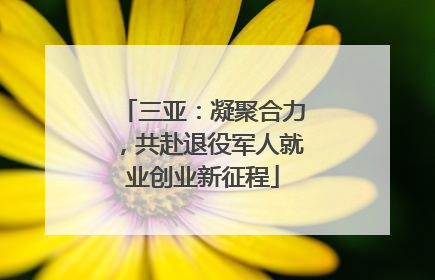 三亚：凝聚合力，共赴退役军人就业创业新征程
