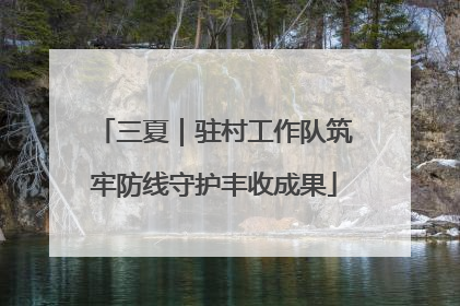 三夏｜驻村工作队筑牢防线守护丰收成果