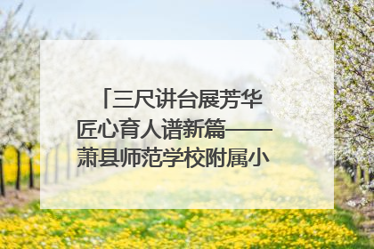 三尺讲台展芳华 匠心育人谱新篇——萧县师范学校附属小学第十三届班主任基本功大赛圆满举办