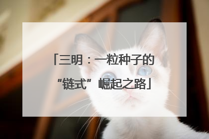 三明：一粒种子的“链式”崛起之路