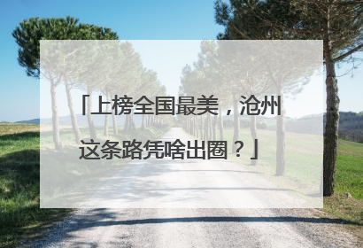上榜全国最美，沧州这条路凭啥出圈？