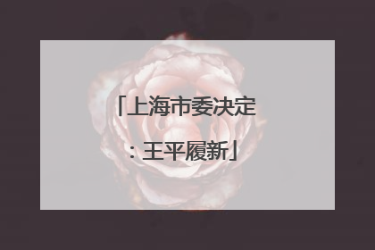 上海市委决定：王平履新