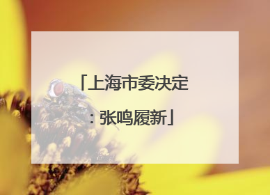 上海市委决定：张鸣履新