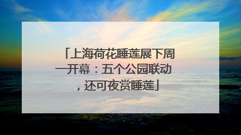 上海荷花睡莲展下周一开幕：五个公园联动，还可夜赏睡莲