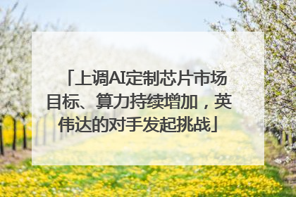 上调AI定制芯片市场目标、算力持续增加，英伟达的对手发起挑战