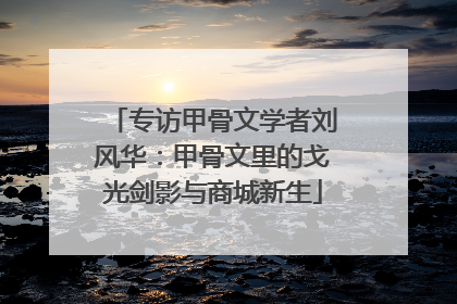 专访甲骨文学者刘风华：甲骨文里的戈光剑影与商城新生