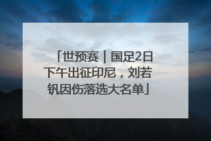 世预赛｜国足2日下午出征印尼，刘若钒因伤落选大名单