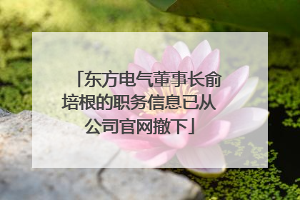 东方电气董事长俞培根的职务信息已从公司官网撤下
