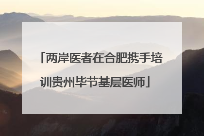 两岸医者在合肥携手培训贵州毕节基层医师
