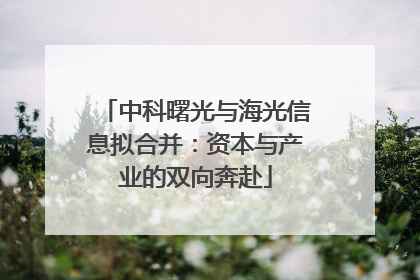 中科曙光与海光信息拟合并：资本与产业的双向奔赴