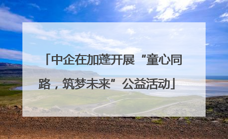 中企在加蓬开展“童心同路，筑梦未来”公益活动
