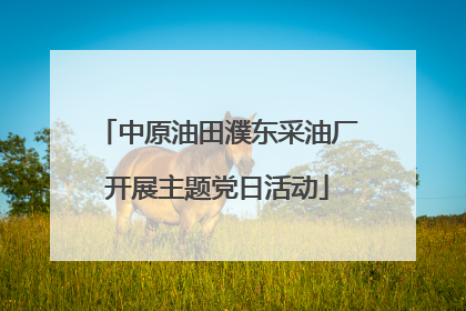 中原油田濮东采油厂开展主题党日活动
