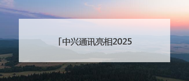 中兴通讯亮相2025全球人工智能终端展，展示AI全场景生态布局