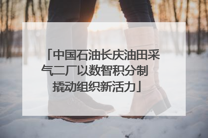 中国石油长庆油田采气二厂以数智积分制 撬动组织新活力