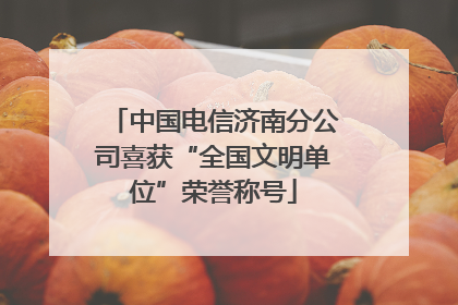 中国电信济南分公司喜获“全国文明单位”荣誉称号