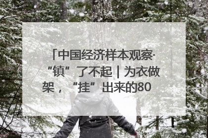 中国经济样本观察·“镇”了不起｜为衣做架，“挂”出来的80亿元“衣架产业”