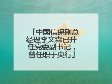 中国信保副总经理李文森已升任党委副书记，曾任职于央行