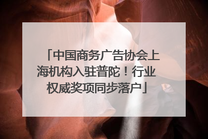 中国商务广告协会上海机构入驻普陀！行业权威奖项同步落户