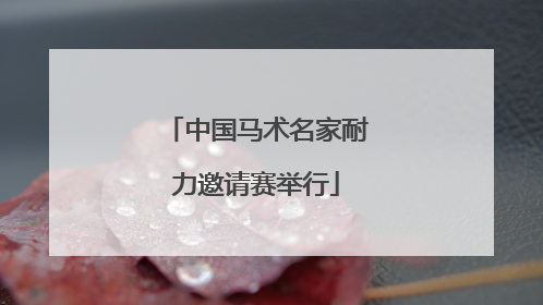中国马术名家耐力邀请赛举行