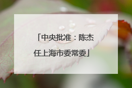 中央批准：陈杰任上海市委常委