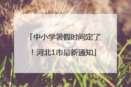 中小学暑假时间定了！河北1市最新通知