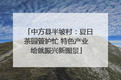 中方县半坡村：夏日茶园管护忙 特色产业绘就振兴新图景