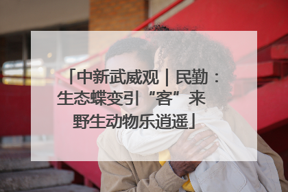 中新武威观｜民勤：生态蝶变引“客”来 野生动物乐逍遥
