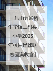 乐山五通桥牛华镇二码头小学2025年校园足球联赛圆满收官