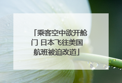 乘客空中欲开舱门 日本飞往美国航班被迫改道