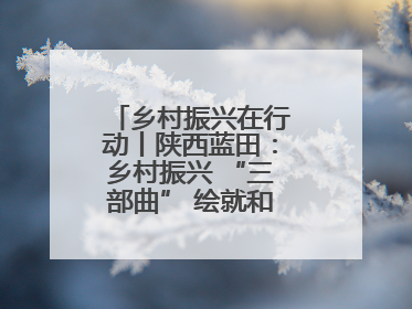 乡村振兴在行动丨陕西蓝田：乡村振兴 “三部曲” 绘就和美乡村新画卷